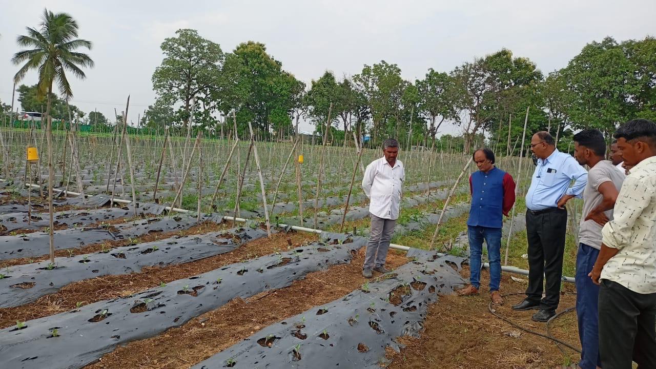 Directors' Field Visits