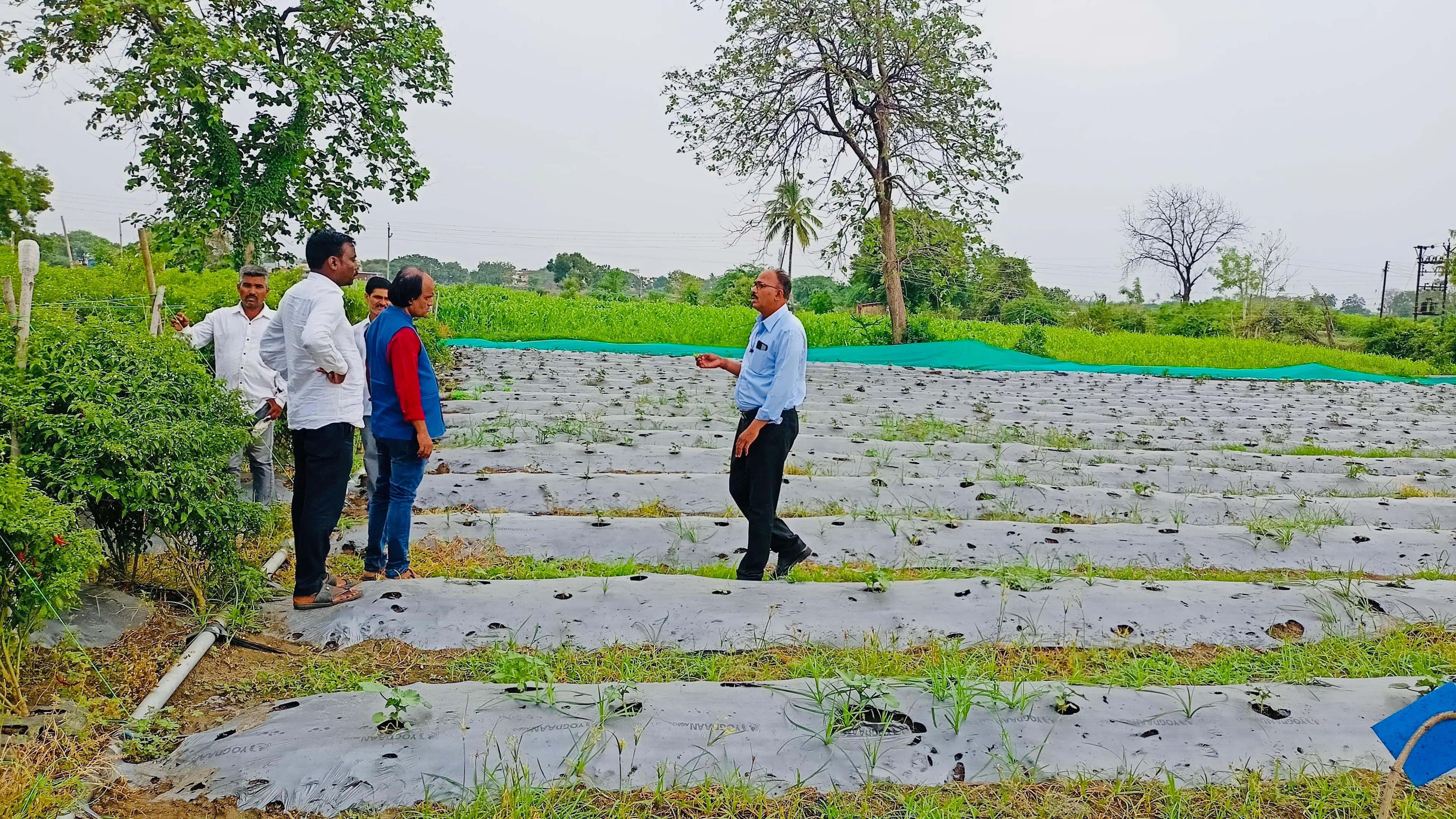 Contract Farming Operations