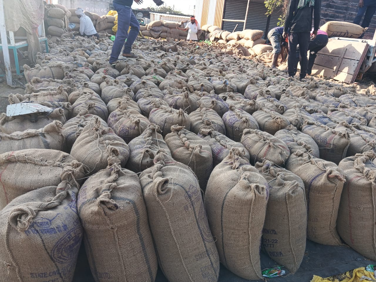 Chana Procurement Operations under NAFED