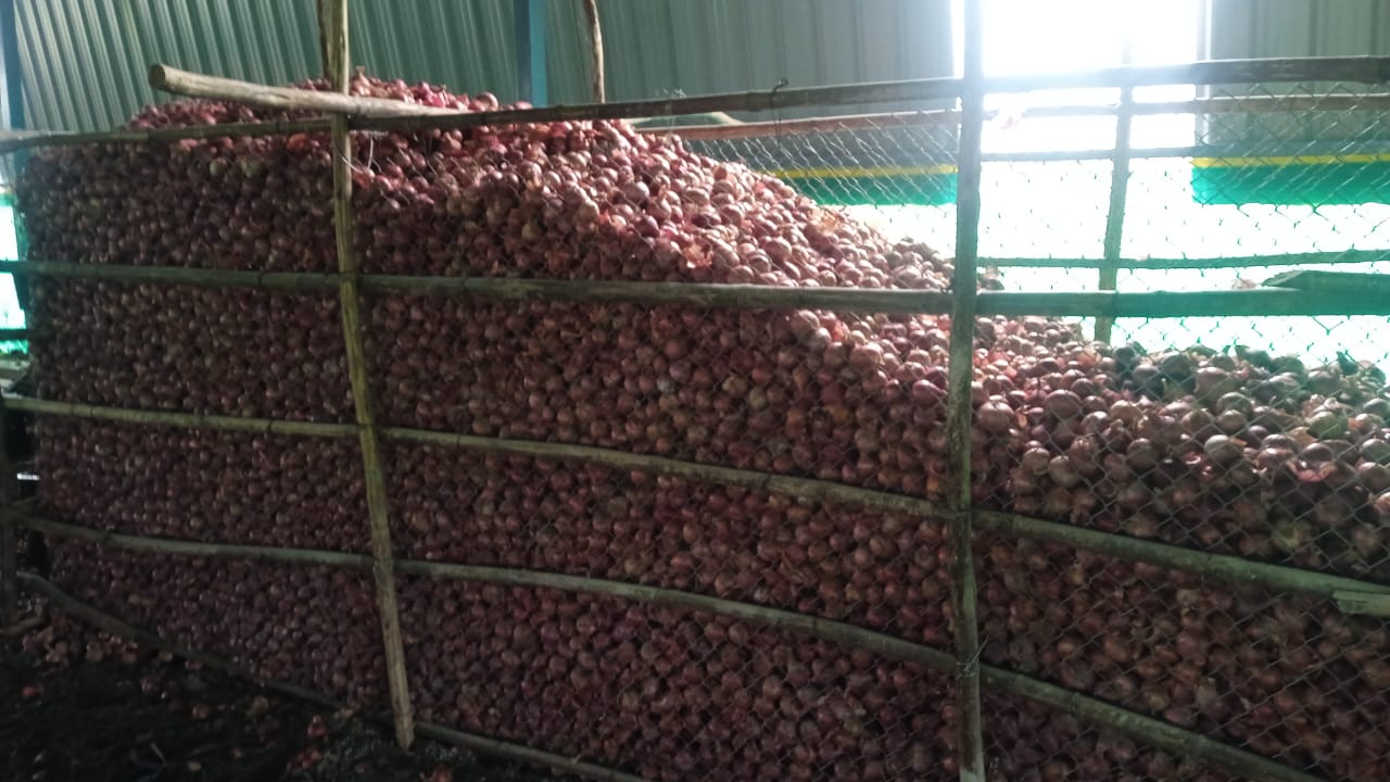 Procurement Operations under NCCF PSS (Price Support Scheme)